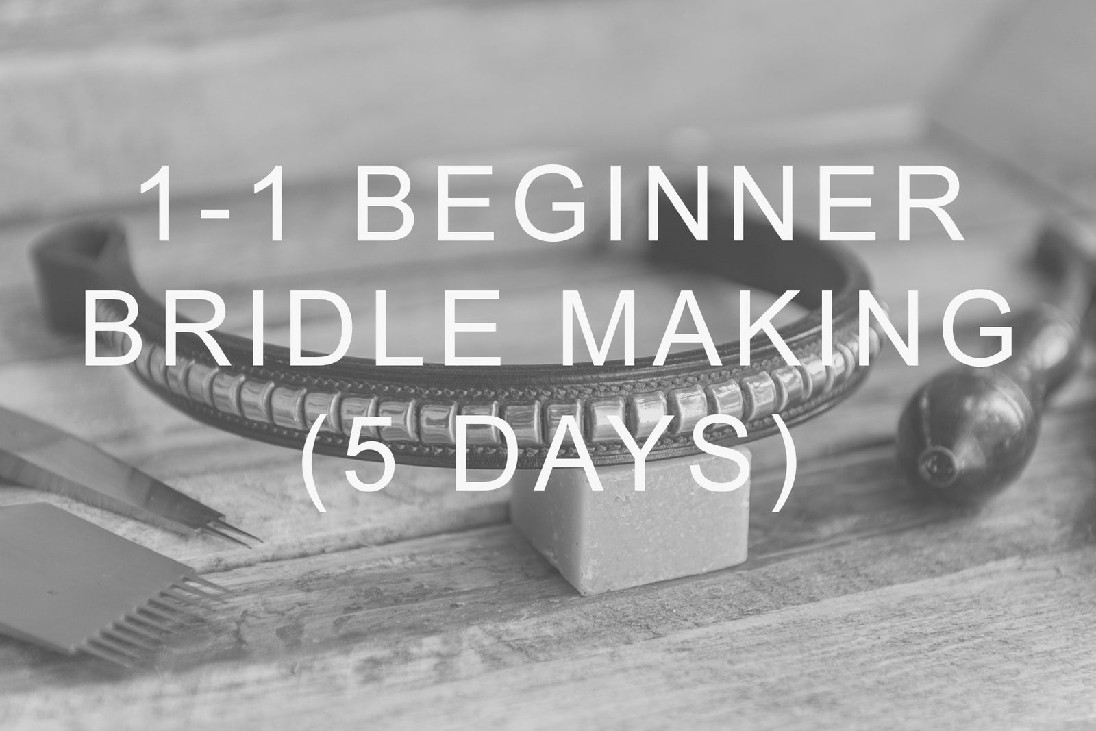 Beginner Bridle Making Course Now Available.