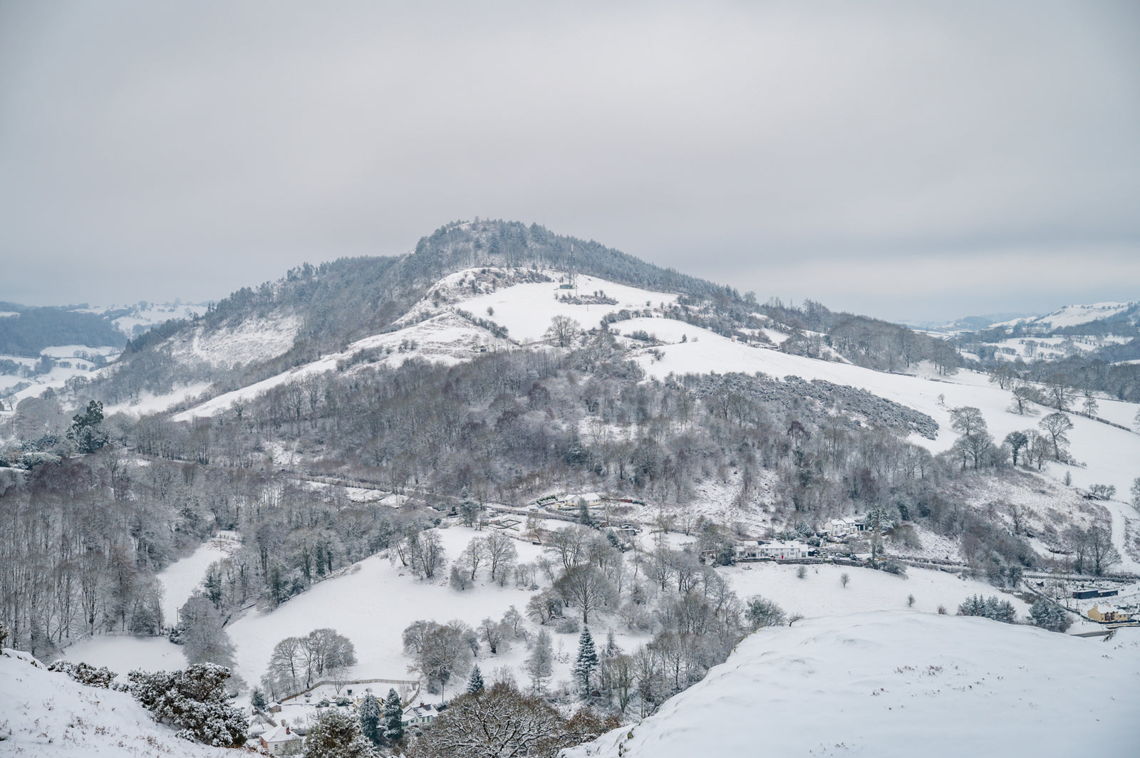 Christmas Ordering and Opening Time