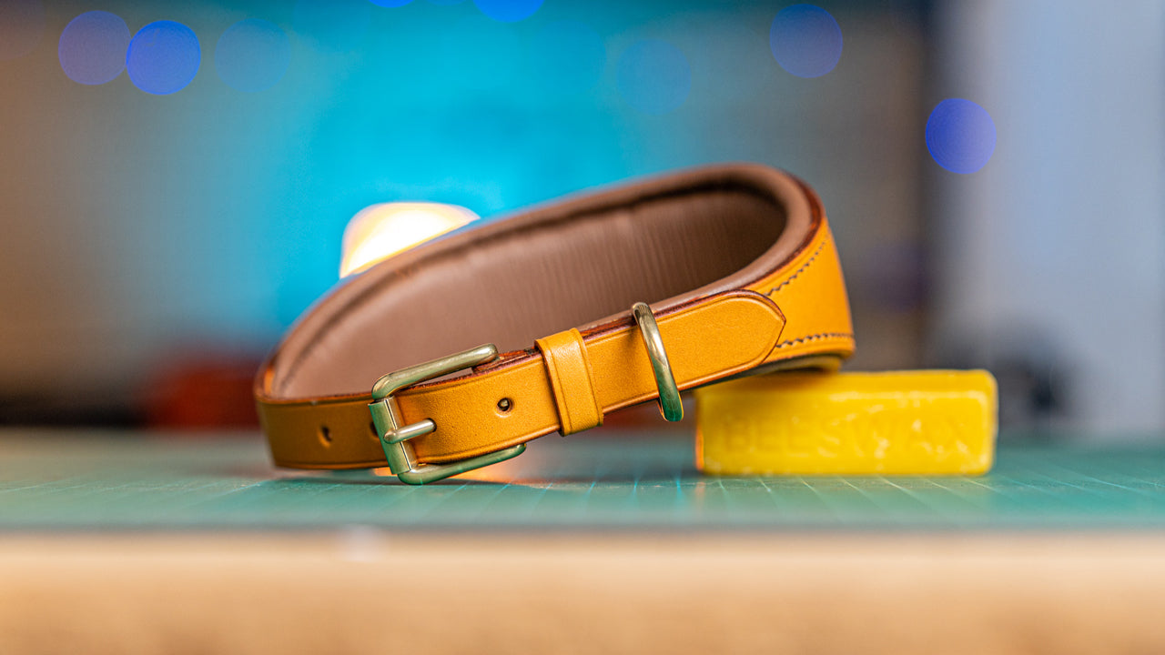 Hound collar templates are now LIVE!