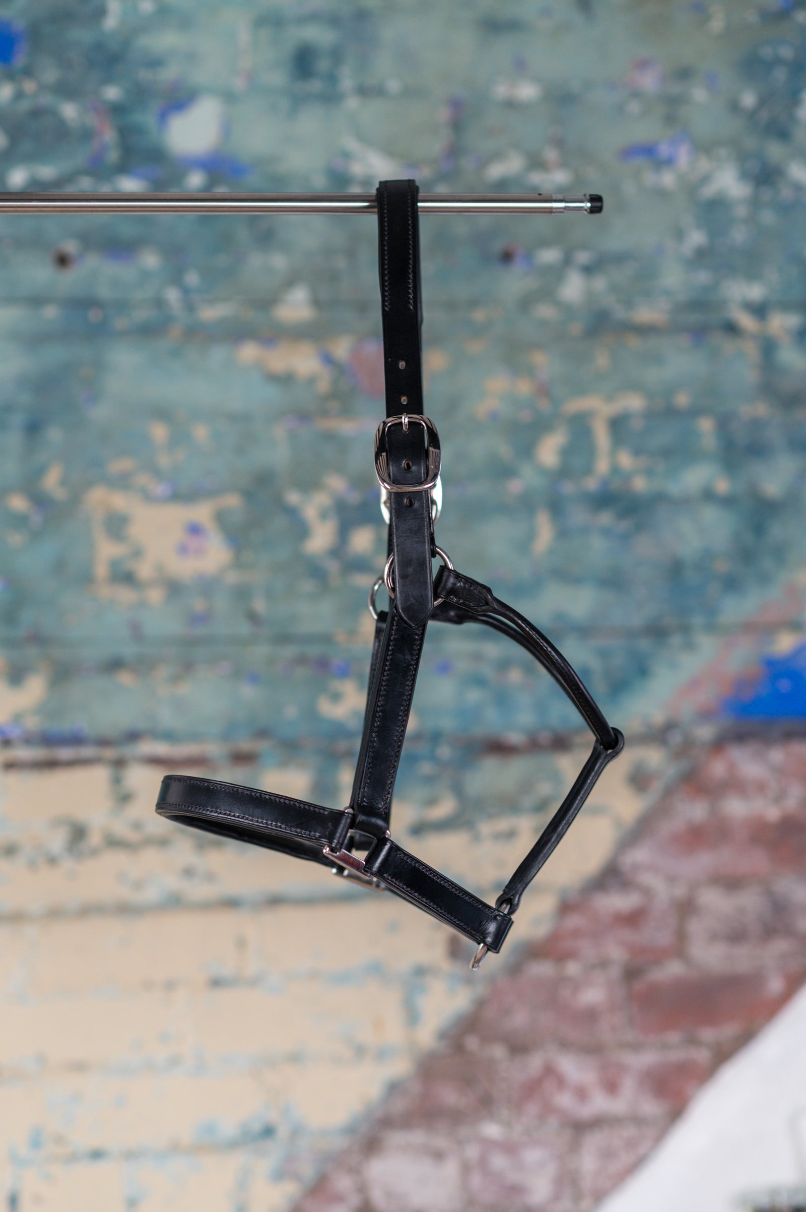 Full Size Padded Head Collar